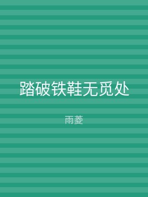 踏破铁鞋无觅处