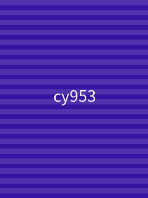 cy953