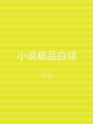 小说极品白领