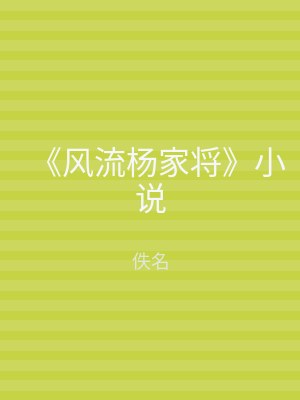 《风流杨家将》小说
