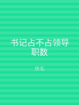 书记占不占领导职数