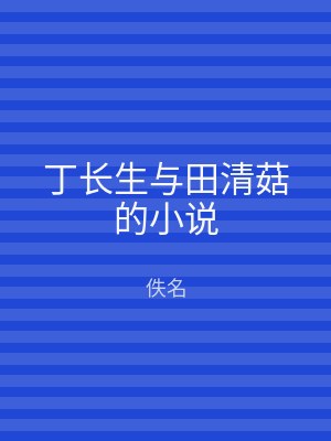 丁长生与田清菇的小说