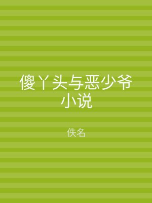 傻丫头与恶少爷小说