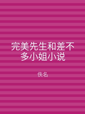 完美先生和差不多小姐小说
