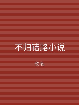不归错路小说