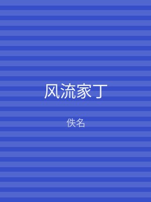 风流家丁