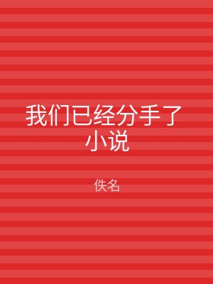 我们已经分手了 小说