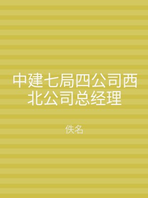 中建七局四公司西北公司总经理