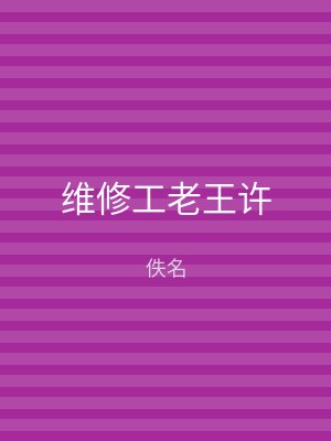 维修工老王许