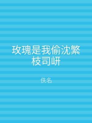玫瑰是我偷沈繁枝司岍