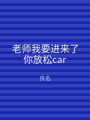 老师我要进来了你放松car