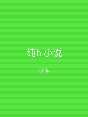 纯h 小说