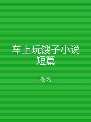 车上玩馊子小说短篇