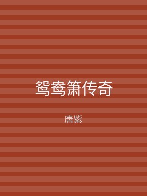 鸳鸯箫传奇