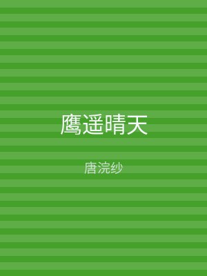 鹰遥晴天