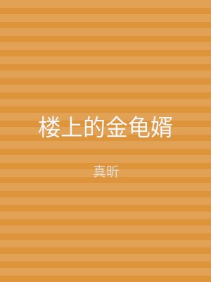 楼上的金龟婿