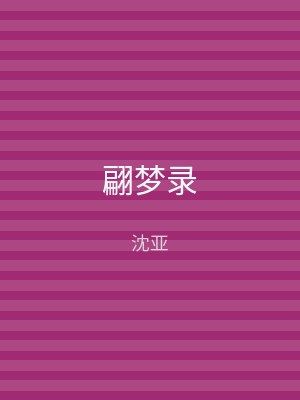 翩梦录