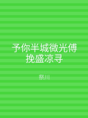 予你半城微光傅挽盛凉寻