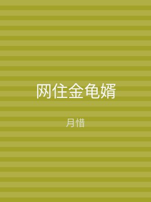 网住金龟婿