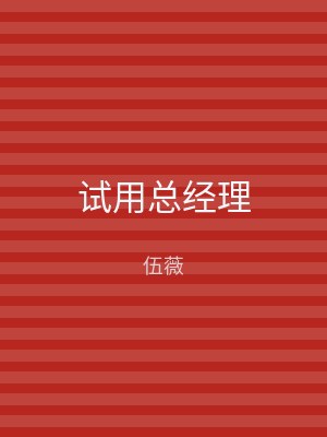 试用总经理
