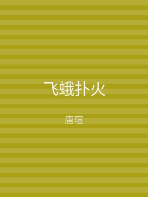 飞蛾扑火