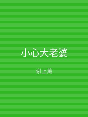 小心大老婆