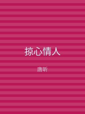 掠心情人
