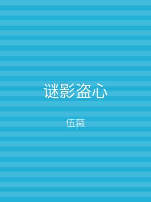 谜影盗心