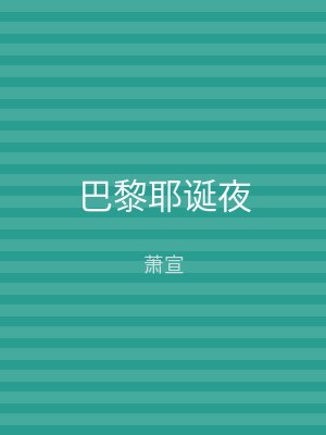 巴黎耶诞夜