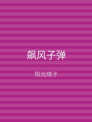飙风子弹